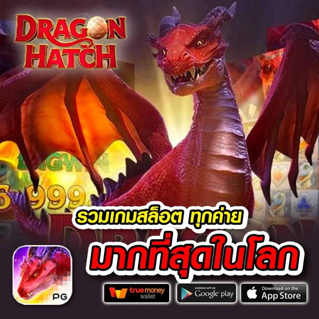 Men's Competition Barbell Set